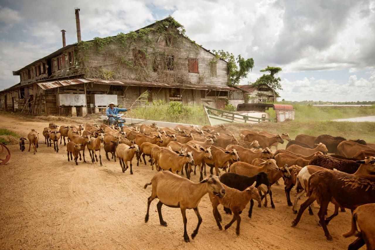 Boutique Hotel Peperpot Meerzorg ภายนอก รูปภาพ