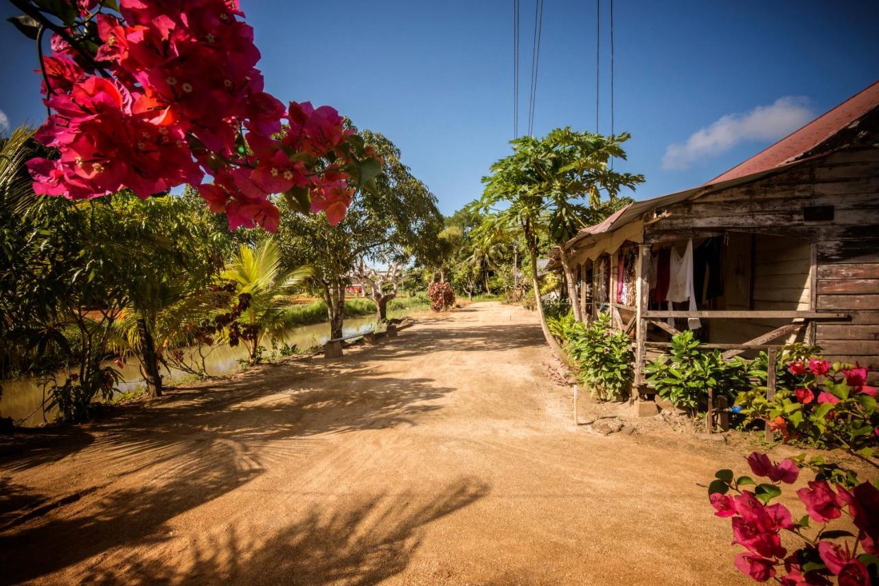 Boutique Hotel Peperpot Meerzorg ภายนอก รูปภาพ
