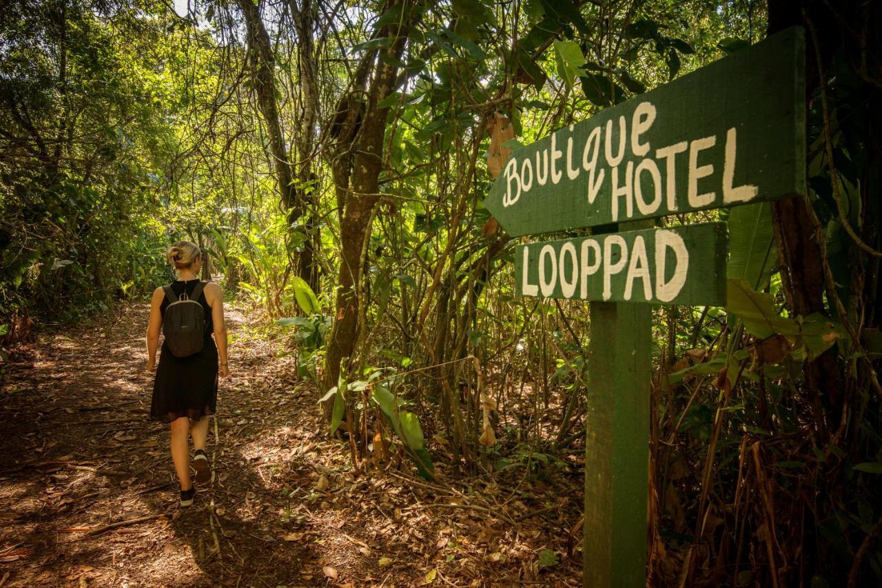 Boutique Hotel Peperpot Meerzorg ภายนอก รูปภาพ